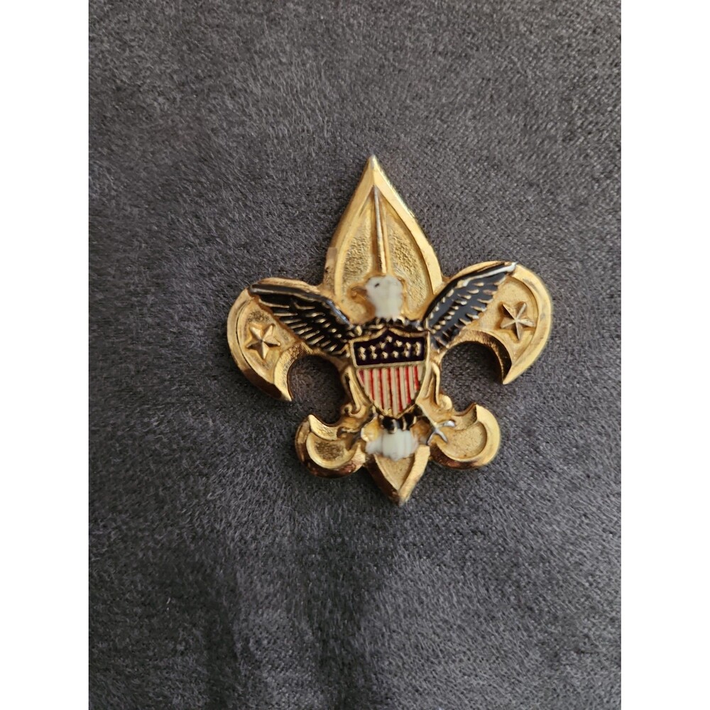 Boyscouts Fluer De Lis painted medal